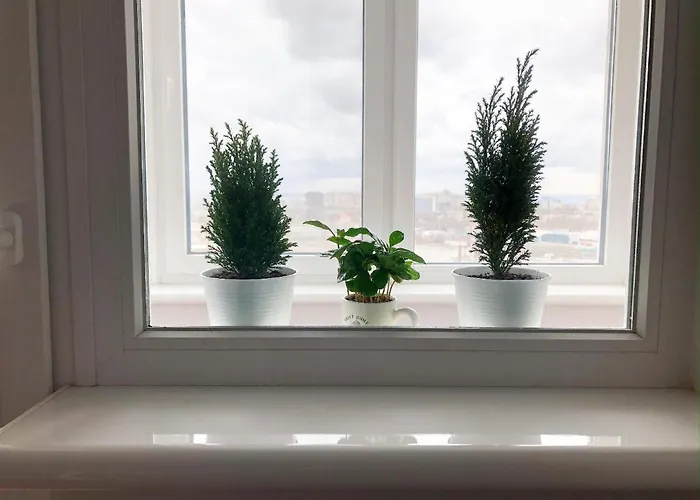 Perfect Near To Train Station And Of Center 公寓